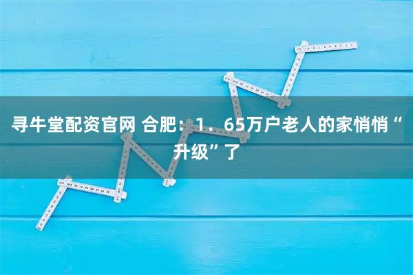 寻牛堂配资官网 合肥：1．65万户老人的家悄悄“升级”了