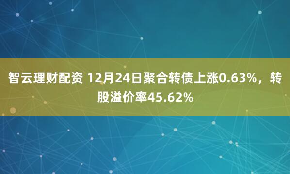 智云理财配资 12月24日聚合转债上涨0.63%，转股溢价率45.62%